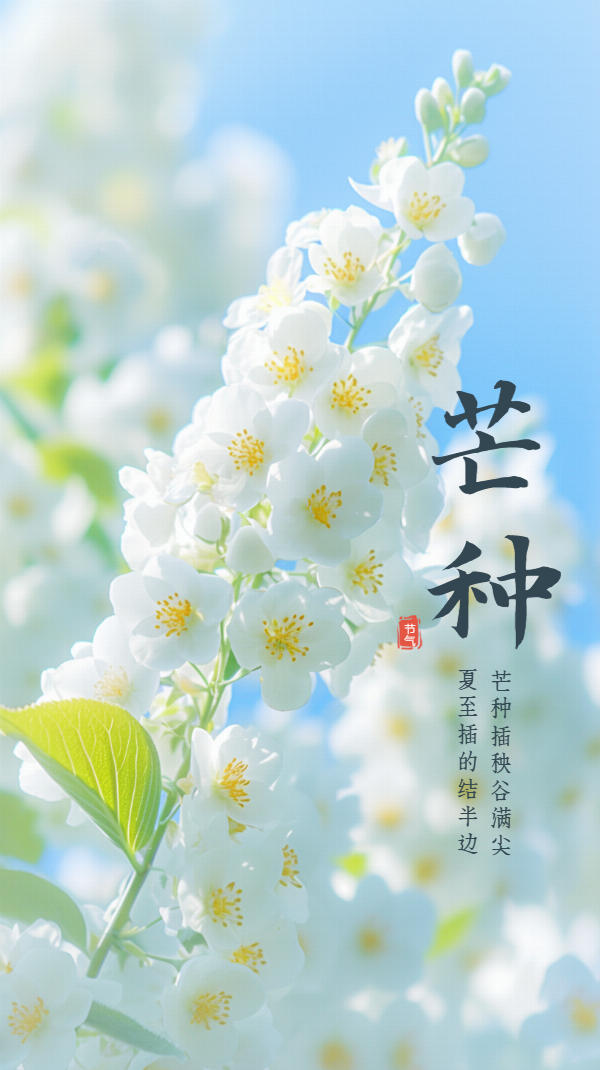 大医节气健康报（第2期）・芒种｜清湿热养心神，漫步芒种，静待夏至