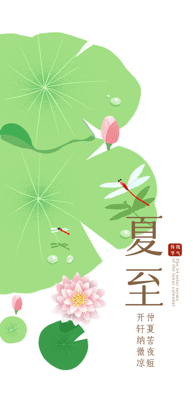 大医节气健康报（第 3 期）・夏至｜入夏湿热缠身？三餐起居合理调，平稳迎接夏至