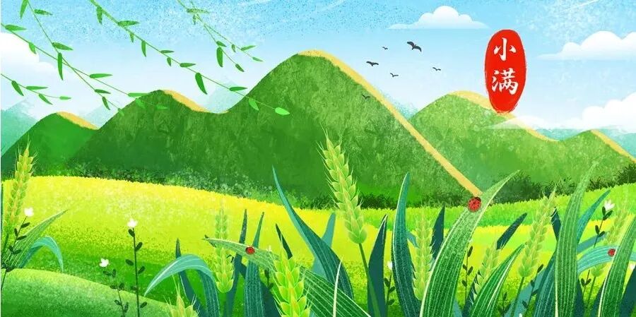 今日小满，人体阳气未满，湿与热同至，养生这样做